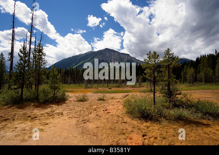 Les Pots de peinture dans le parc national Kootenay, Canada Banque D'Images