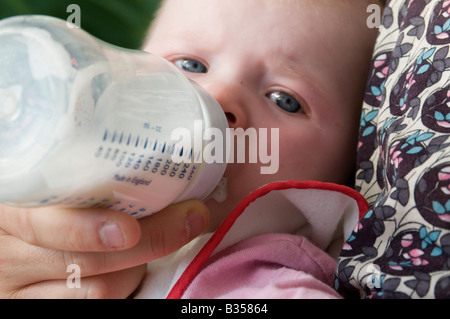 Le biberon de lait en poudre lait nourrir l'alimentation des bébés sucent sucer la tétine fead meal Banque D'Images