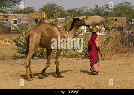 Un BANJARI TRIBESWOMAN transporte l'eau et mène son chameau dans son village dans le désert du Thar près de Jaisalmer RAJASTHAN INDE Banque D'Images