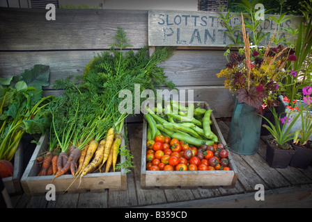 Des légumes frais pour la vente dans le jardin biologique Slottsträdgården (jardin du château) à Malmö, en Suède. Banque D'Images