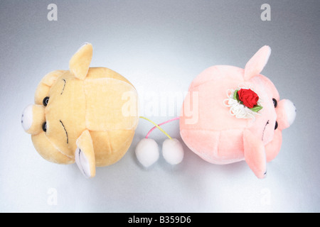 Porcs de peluche Banque D'Images