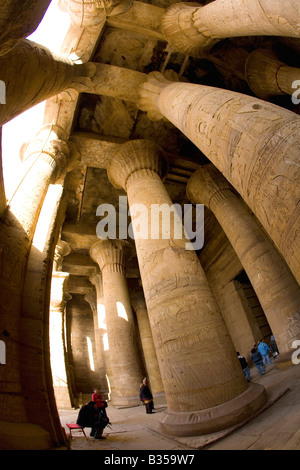 Piliers et chapiteaux avec les touristes et les visiteurs de Temple de Horus Edfou Egypte Afrique du Nord Banque D'Images