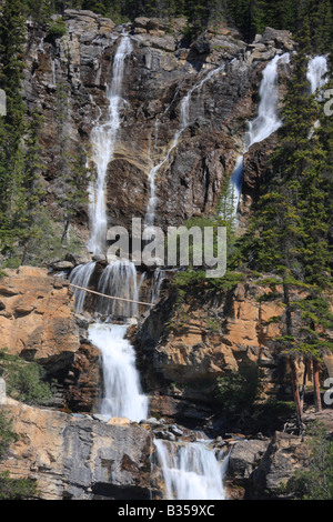 Chutes d'eau de ruisseau Tangle (été), Jasper National Park, Alberta Banque D'Images