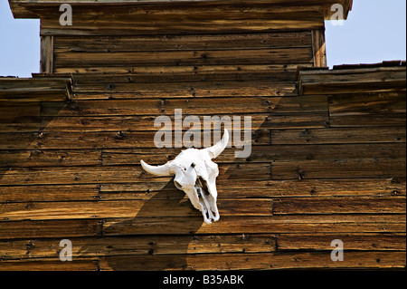 Bâtiment en bois sur le crâne de vache Banque D'Images