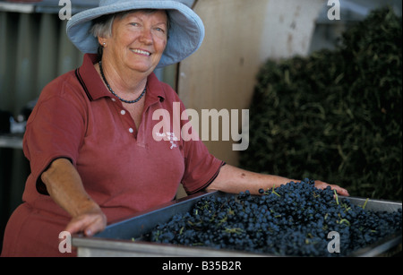 Jan Kerr Raisins concassage Tom's Waterhole Canowindra New South Wales Australie Banque D'Images