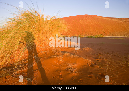 Ombre de photographe à l'aube parmi les dunes de sable et l'herbe du désert de dunes de sable de Sossusvlei dans le sud-centre de la Namibie Banque D'Images