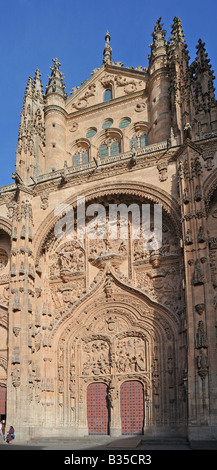 Nouvelle Cathédrale Catedral Nueva et tympan du portail Salamanca espagne avec des scènes de l'Adoration des bergers et des mages Banque D'Images