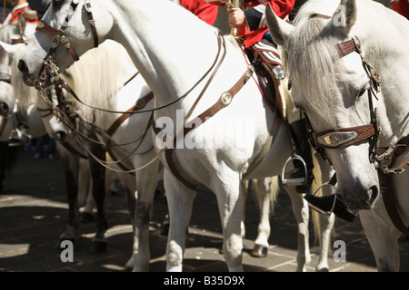 Espagne Barcelone Canada les membres de la bande sur des chevaux blancs uniforme rouge partie de jour de célébration de l'Ascension jour saint Banque D'Images