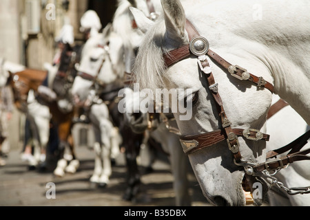 Espagne Barcelone Canada les membres de la bande sur des chevaux blancs uniforme rouge et plumes dans hat partie de jour de célébration de l'Ascension Banque D'Images