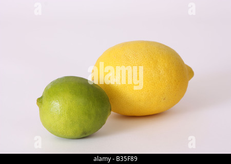 Un citron et une lime contre blanc pour la découpe Banque D'Images