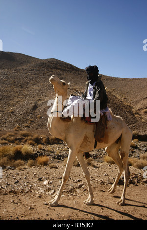 Avec des dromadaires touaregs du Hoggar Algérie Assekrem mountains Banque D'Images