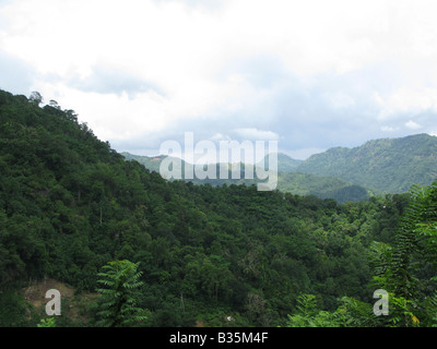 Les collines de la jungle sur la route jusqu'à Kandy de Colombo, Sri Lanka Banque D'Images