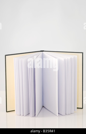 Livre ouvert avec des pages blanches, debout, close-up Banque D'Images