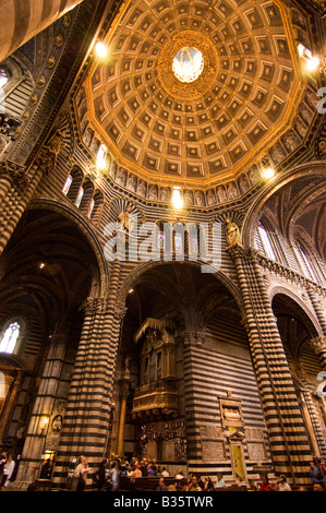 L'intérieur du Duomo à Sienne à la recherche jusqu'à la coupole principale Banque D'Images