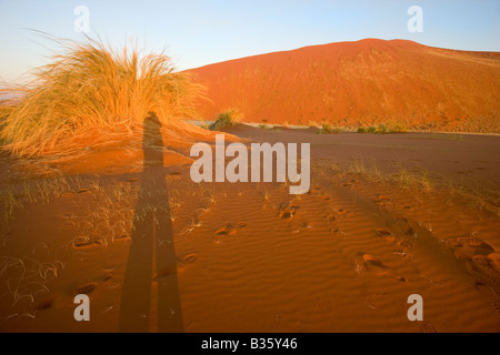 Ombre de photographe à l'aube parmi les dunes de sable et l'herbe du désert de dunes de sable de Sossusvlei dans le sud-centre de la Namibie. Banque D'Images
