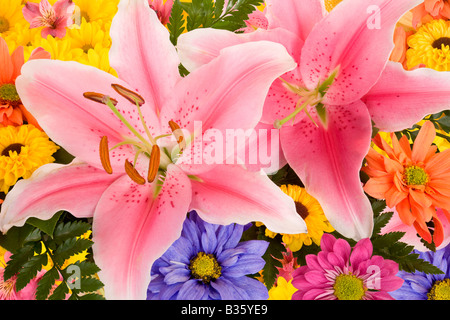 C'est un arrangement floral coloré de lys et marguerites Banque D'Images