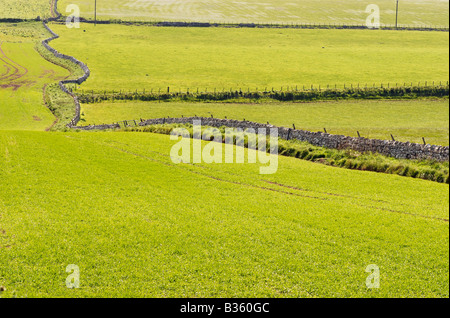 En Pierres sèches à l'Angleterre/Ecosse Frontière sur l'A1 dans le Northumberland Banque D'Images