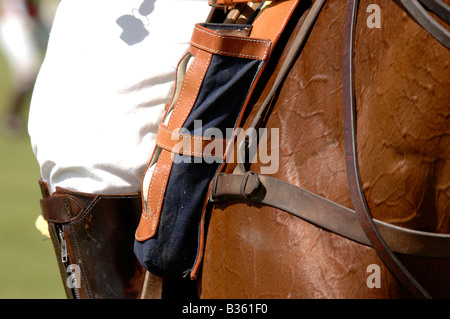 Cavalier de Polo Banque D'Images