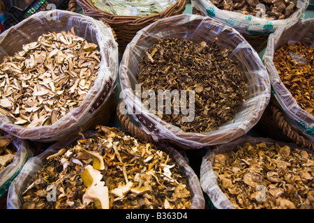 Espagne Barcelone paniers tissés de variétés de champignons secs sur l'affichage pour la vente au marché de la Boqueria Banque D'Images