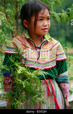 Girl Flower Hmong, près de Bac Ha, nord Vietnam Banque D'Images