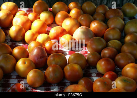 Les tomates Banque D'Images