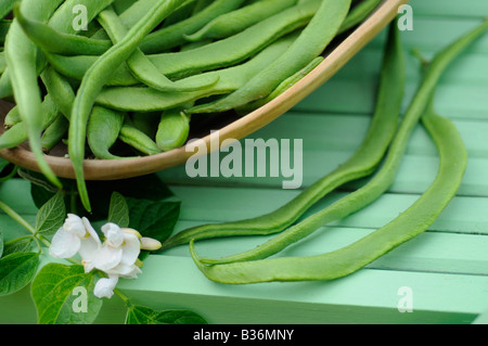 Accueil Haricots biologiques cultivés dame blanche fraîchement cueilli dans bol en bois sur chaise UK Juillet Banque D'Images