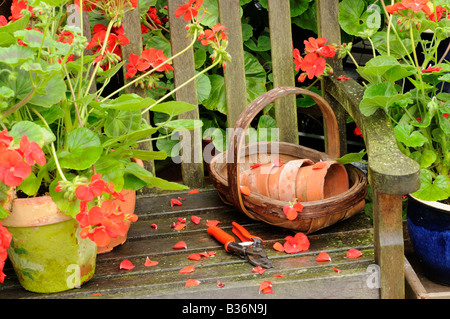 Siège de jardin arbor après la pluie en été avec des géraniums et des articles de jardin août Royaume-uni Norfolk Banque D'Images