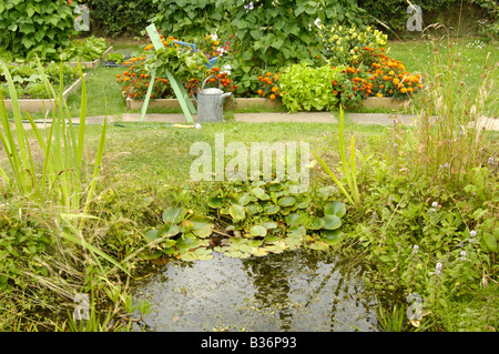 Petit jardin à côté de l'étang de la faune soulevées légumes mixte fleurs UK Août Banque D'Images