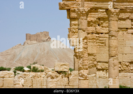 L'Agora romaine et château arabe Qalaat ibn Maan Palmyre en Syrie Banque D'Images