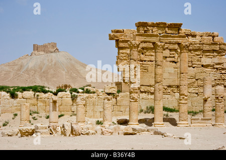 L'Agora romaine et château arabe Qalaat ibn Maan Palmyre en Syrie Banque D'Images