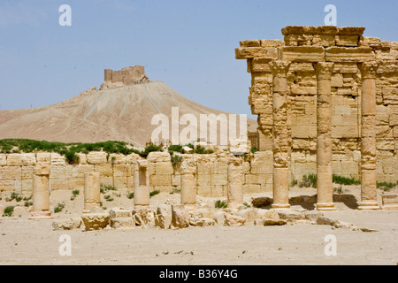 L'Agora romaine et château arabe Qalaat ibn Maan Palmyre en Syrie Banque D'Images