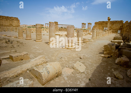 Agora romaine antique à Palmyre en Syrie Banque D'Images