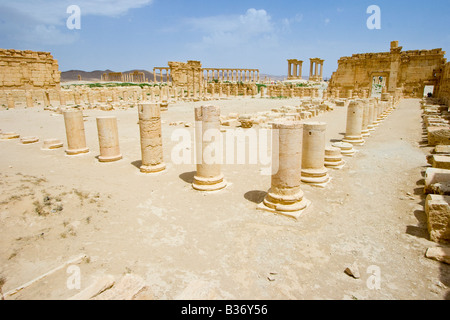 Agora romaine antique à Palmyre en Syrie Banque D'Images