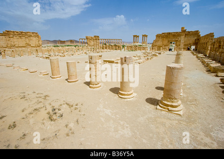 Agora romaine antique à Palmyre en Syrie Banque D'Images