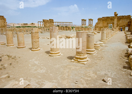 Agora romaine antique à Palmyre en Syrie Banque D'Images