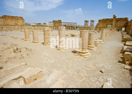 Agora romaine antique à Palmyre en Syrie Banque D'Images