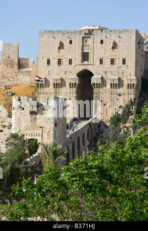 La Citadelle d'Alep en Syrie Banque D'Images