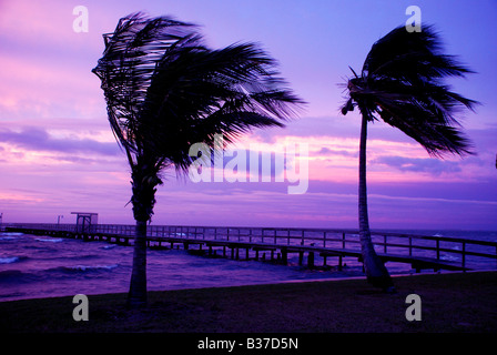 La tempête tropicale Fay SW Florida Août 2008 Banque D'Images