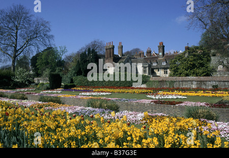 Jardins Southover Grange et mur Fleurs Printemps LEWES EAST SUSSEX ENGLAND Banque D'Images