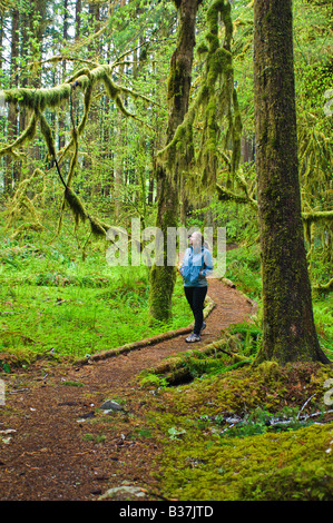Randonneur promenades à travers des oliveraies anciennes Olympic National Park Washington Banque D'Images