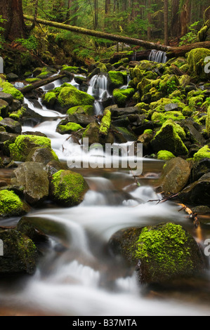 Le Sol Duc River cascade à travers des roches couvertes de mousses Olympic National Park Washington Banque D'Images