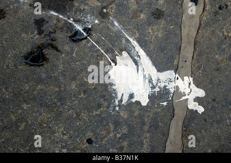 Close up d'éclaboussures de peinture sur la rue Banque D'Images