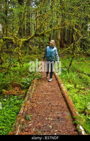 Randonneur promenades à travers des oliveraies anciennes Olympic National Park Washington Banque D'Images