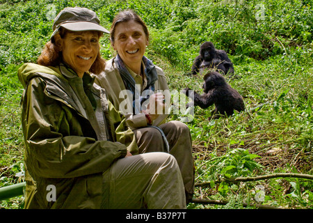 Le tourisme fournit des fonds pour aider à la disparition des gorilles de montagne Gorilla beringei beringei dans le PARC NATIONAL DE VOLCANS RWANDA Banque D'Images