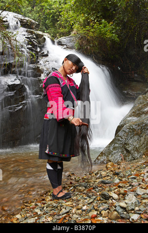 Les femmes aux cheveux longs de Huangluo Yao Village ces femmes n'ont qu'une seule coupe de cheveux au cours de leur vie un Ping Longsheng Rizières en terrasses Banque D'Images