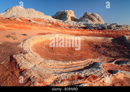 Tourbillons dans la poche en grès blanc à Vermilion Cliffs National Monument, Arizona Banque D'Images