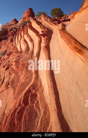 Grès strié de Vermilion Cliffs National Monument, Arizona Banque D'Images