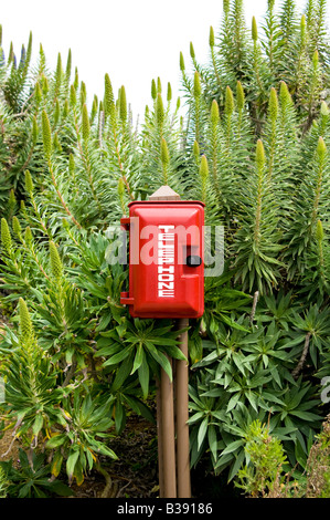 Téléphone d'urgence rouge fort en vert jardin, Laguna Beach, Californie Banque D'Images