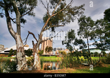 Adelaide city skyline des rives de la rivière Torrens, l'Australie du Sud Banque D'Images