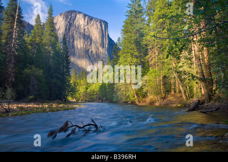 El Capitan s'élève 4 000 pieds au-dessus de la vallée de Yosemite et la rivière Merced dans cette scène spingtime Yosmeite National Park Banque D'Images